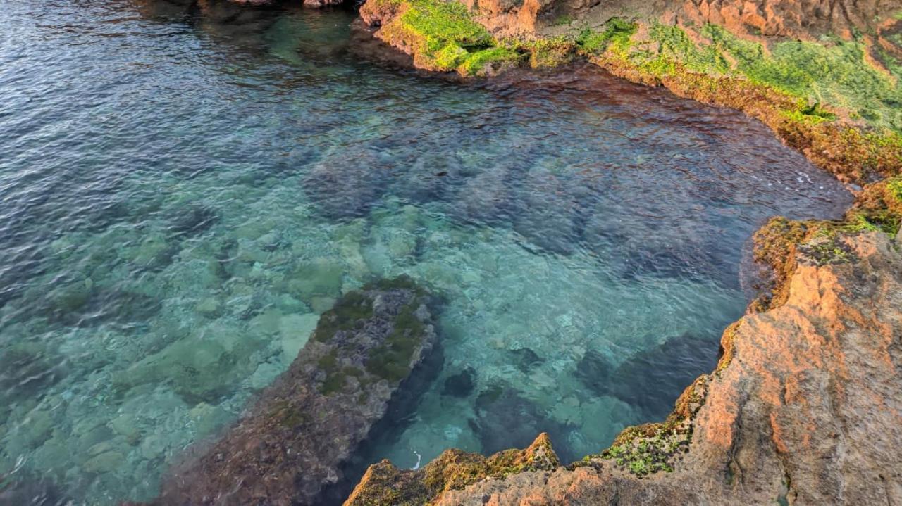 100 Mt Playa De Los Locos Torrevieja Zewnętrze zdjęcie